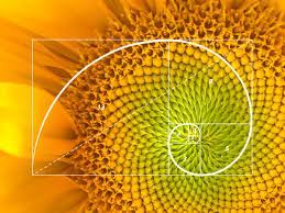 What is the Fibonacci Sequence – and why is it the secret to musical greatness?