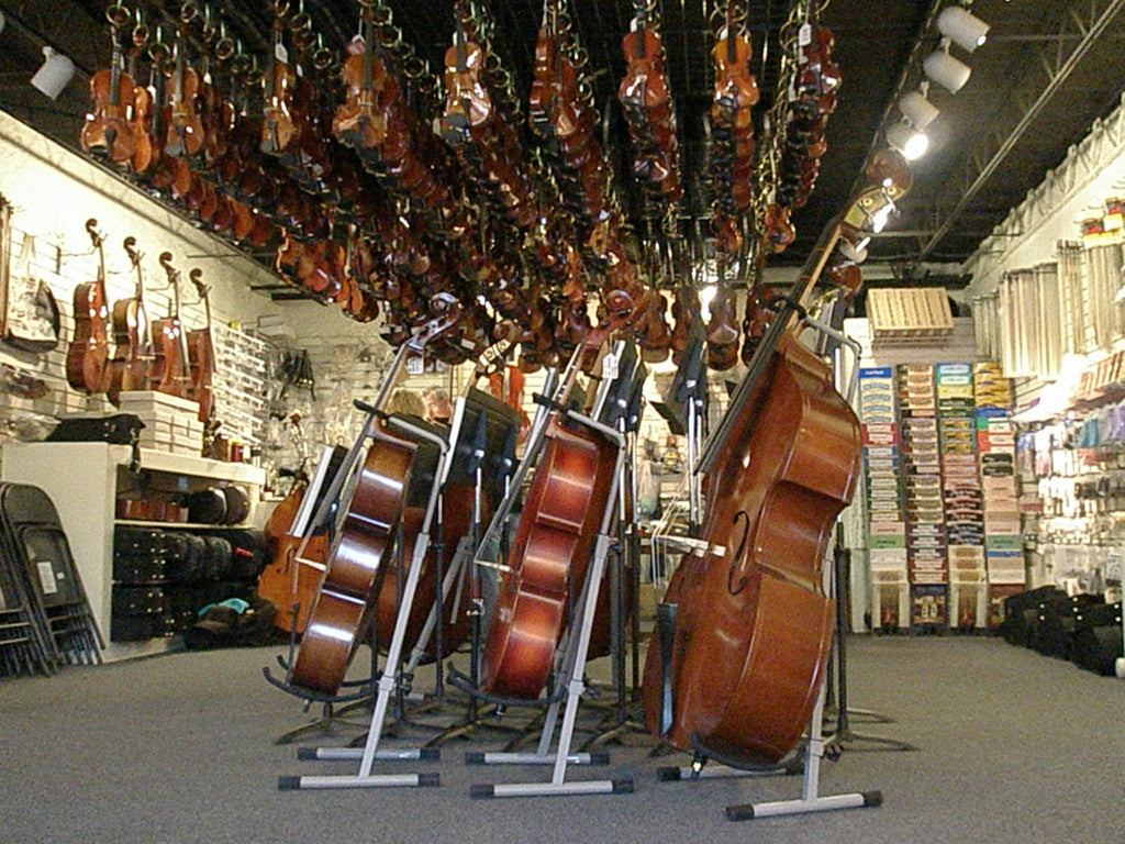 Choosing An Instrument For Your Child