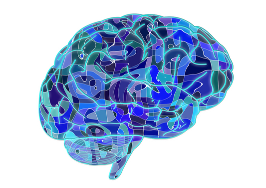 A CHILD'S BRAIN DEVELOPS FASTER WITH EXPOSURE TO MUSIC EDUCATION