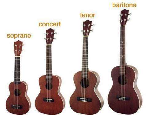 What types of Ukuleles Are There?