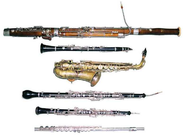 Woodwinds - What Are They? – Golden Music